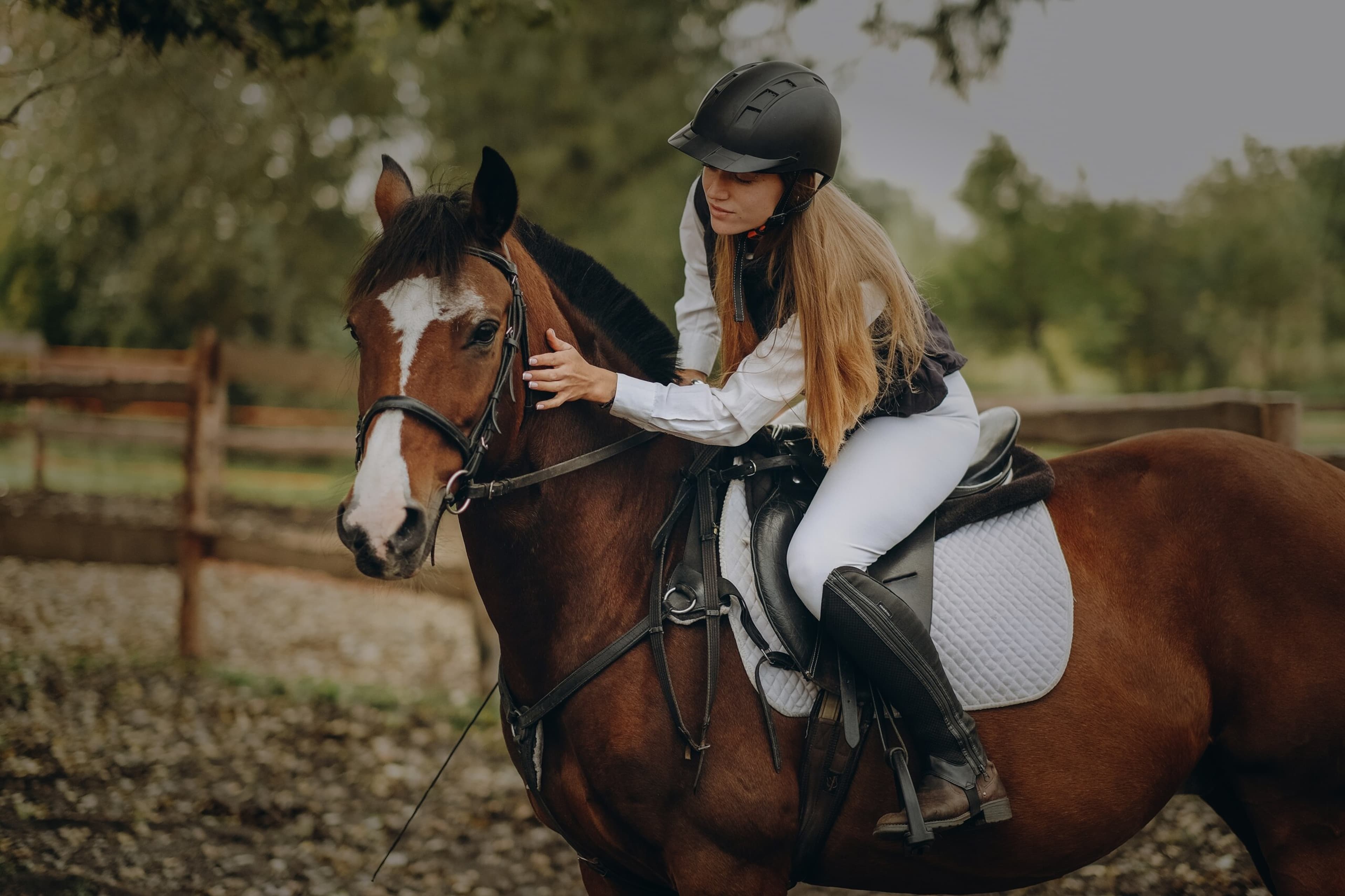 Équitation Hero