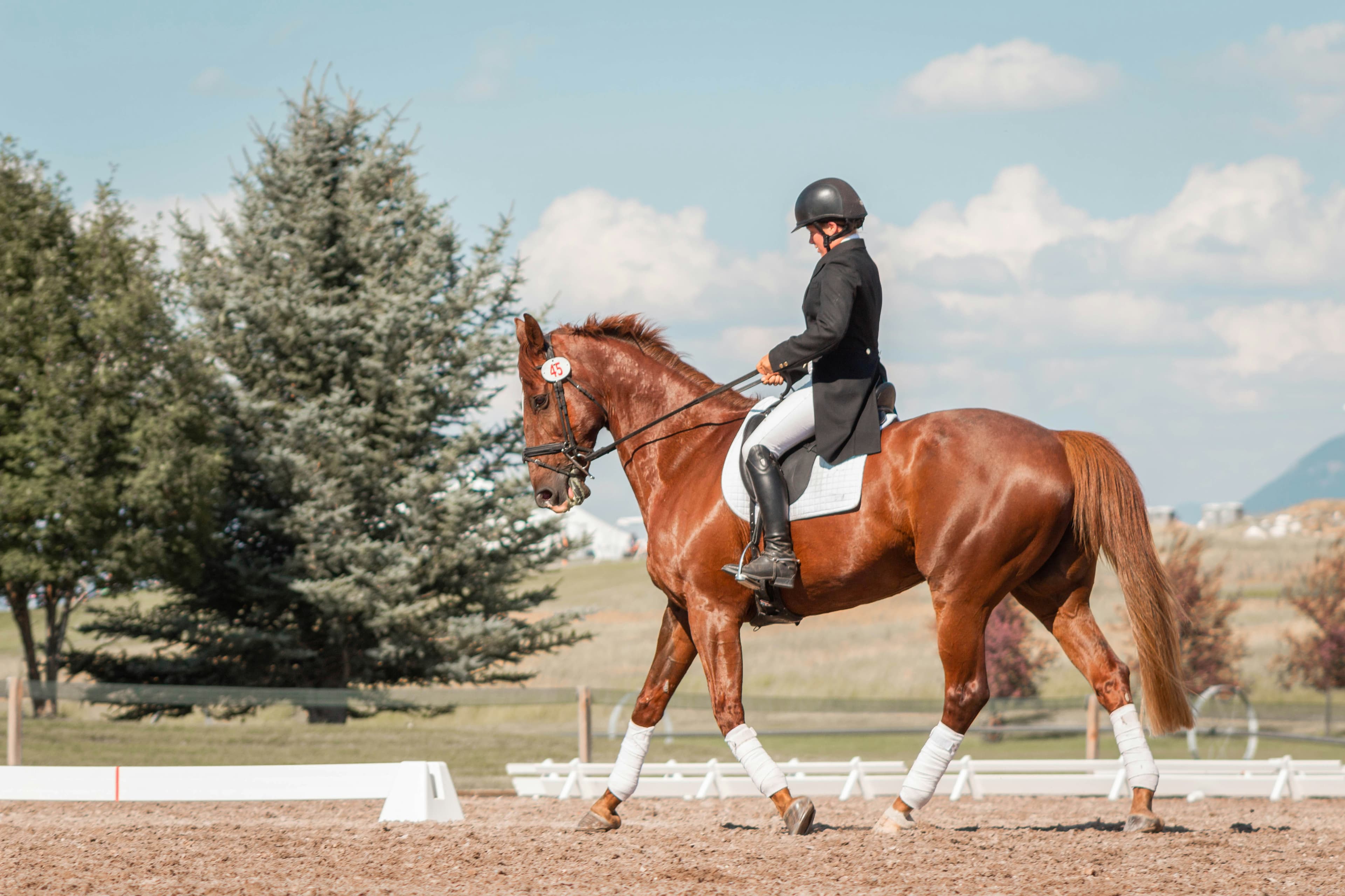 Équitation 1