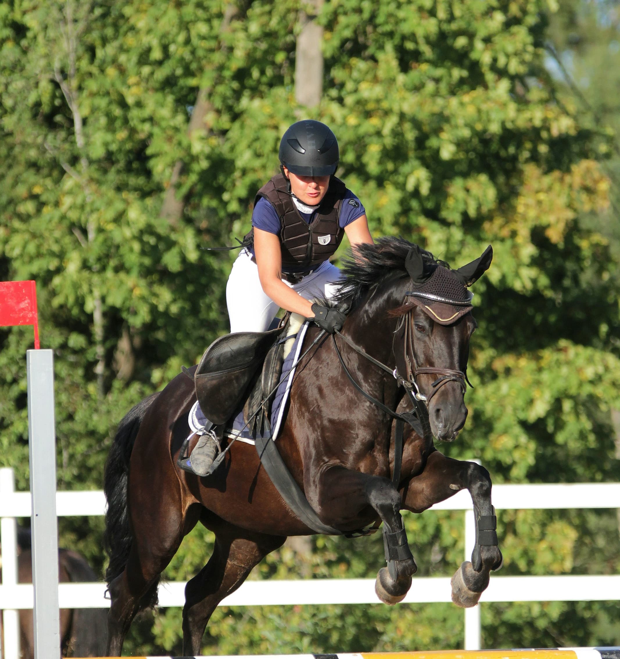 Équitation 2