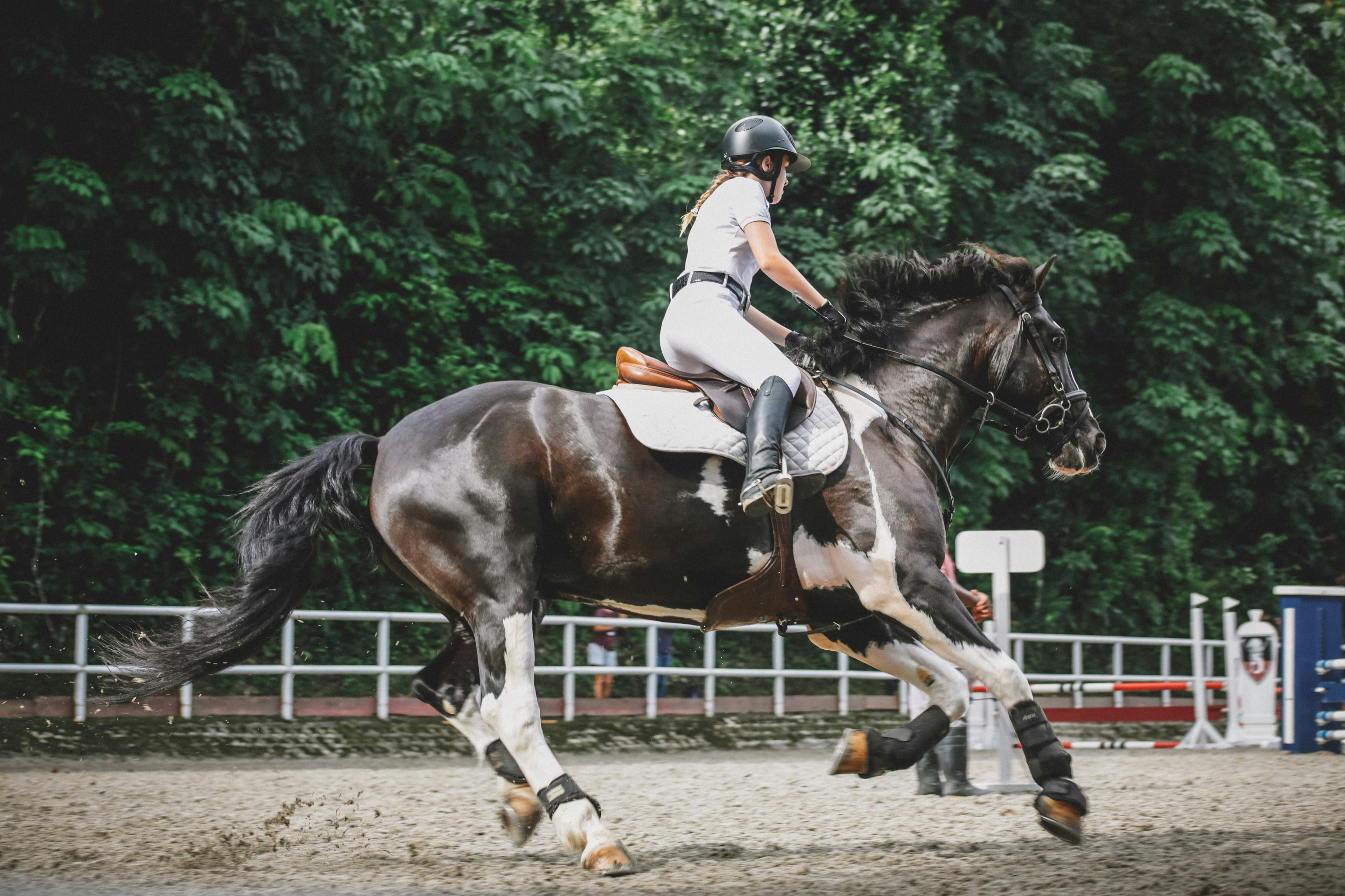 Équitation 3