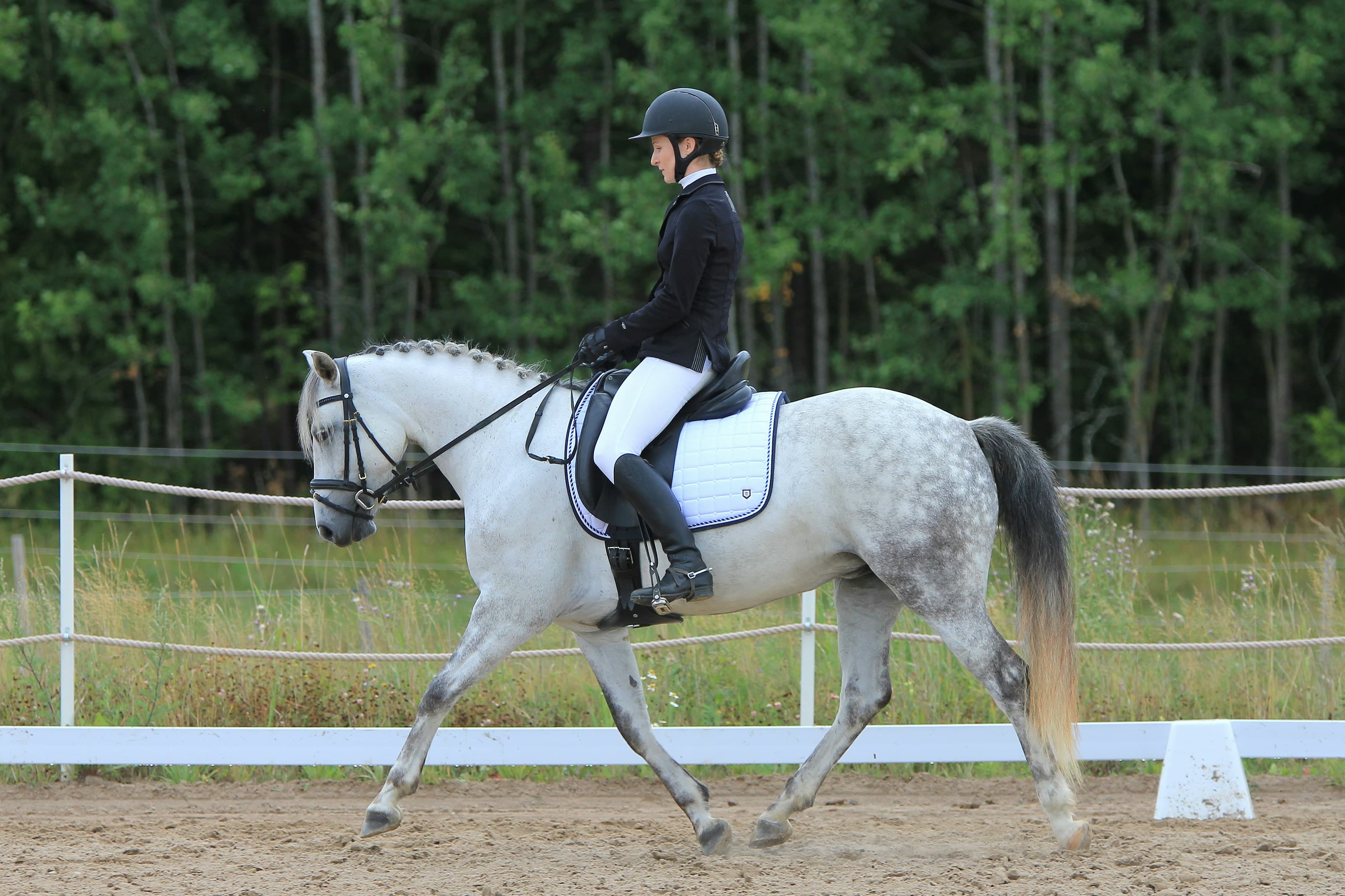 Équitation 4