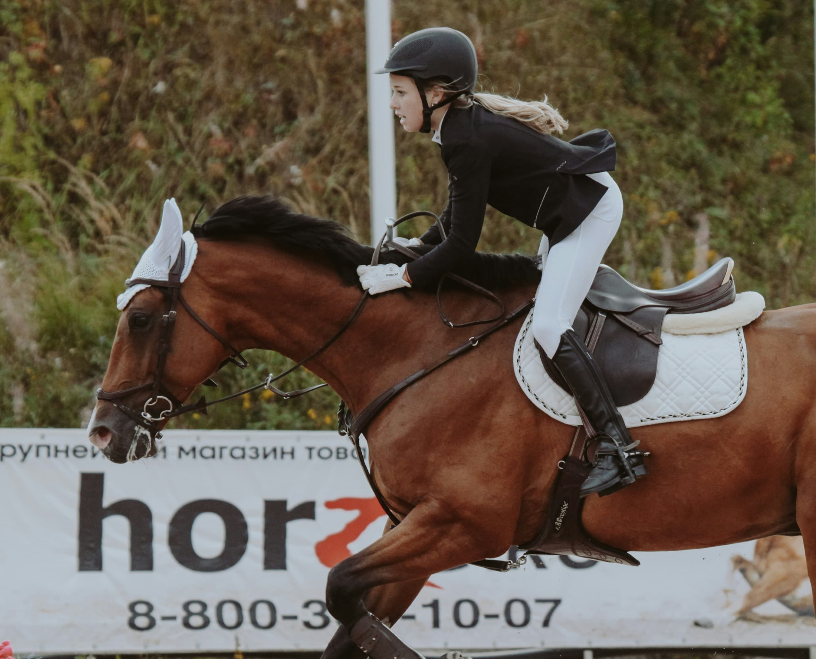 Équitation 5