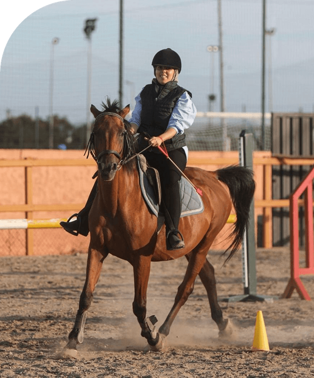Équitation