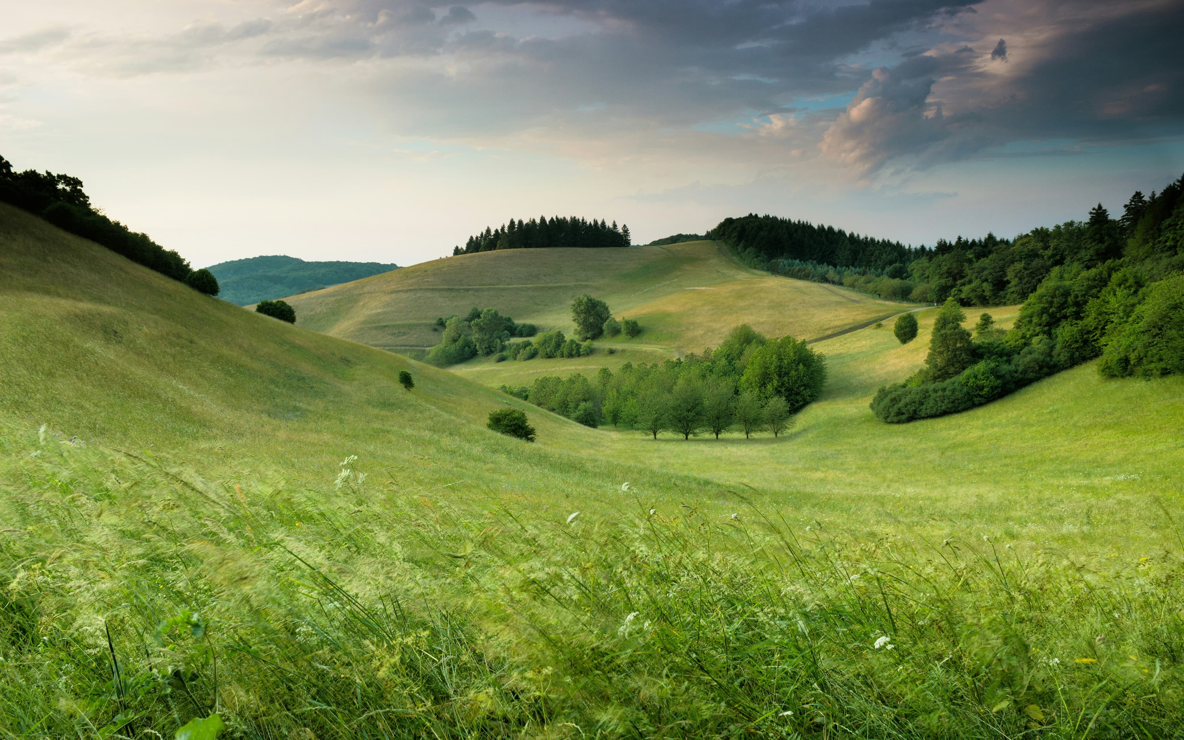 Nature 3